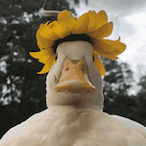 miche.PAPERO's Avatar'