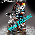 Revs2Stroke's Avatar'