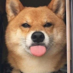 realzofia's Avatar'