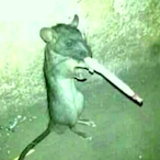juanchitomiamor's Avatar'
