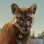 ProKittyGamer49's Avatar'