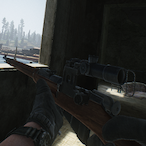 MountainElk03's Avatar'