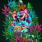 Faus1ng420's Avatar'