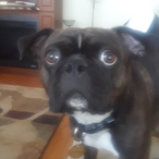 SixFootTism's Avatar'