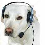 ReinoWolf's Avatar'