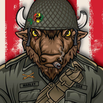 Buffalo_soldier's Avatar'