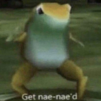 Evonrllr43485's Avatar'