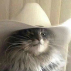 Anne Flank4535's Avatar'