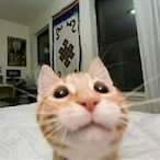 LorenzoJRey's Avatar'