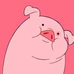 NAIBAOYUAN's Avatar'