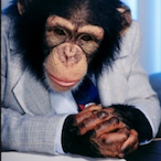 Nik.Sv's Avatar'