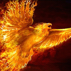 Capt_Sarcastic's Avatar'