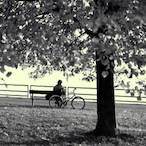 Blue_harmonica's Avatar'
