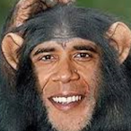 SukeyMonkey's Avatar'