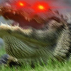 LaserCroc's Avatar'