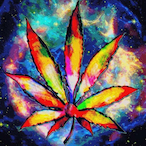 Ol_BootLip420's Avatar'