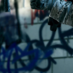 Trapnvr556's Avatar'