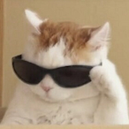 RatoDoAmor's Avatar'