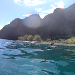 Southstands303's Avatar