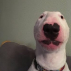 jerrysolocked's Avatar'