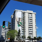 Coffin meme9483's Avatar'