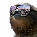 comradcool's Avatar'