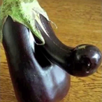 EggPlantPopper's Avatar'