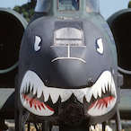 Oceanicheli's Avatar'