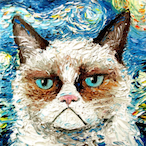 MrGrumpy0001's Avatar'