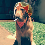 oBobBarney's Avatar'