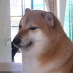 BittaNiceMush's Avatar'