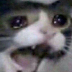 joselopez690's Avatar'