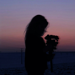 p.ax.