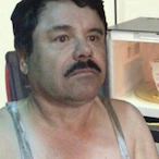 temp-884035801's Avatar'