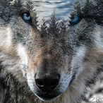 I-LoneWanderer-I's Avatar'