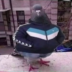 Adsiek3's Avatar'