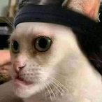 PauliPinho's Avatar'