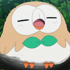 Rowlet__'s Avatar'