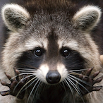 UwU_BandoBashi's Avatar'