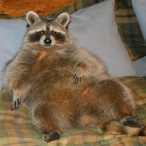 Thicc_Boi711's Avatar