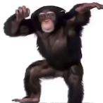 monkey_nuts69's Avatar'