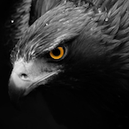 WashiMizu's Avatar'