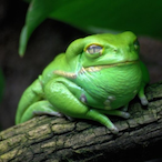 hi2theworld's Avatar'