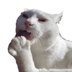 when_its_the.'s Avatar'
