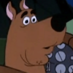 KNOOOWLEDGE12's Avatar'