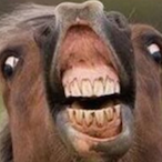 aD1rtyUr1nal's Avatar'