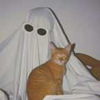 JAX0NNNNNN's Avatar'