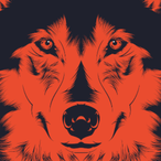 wunderdoben's Avatar