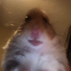 GramZgredkami12's Avatar'