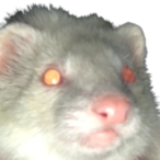 roachtiddy's Avatar'